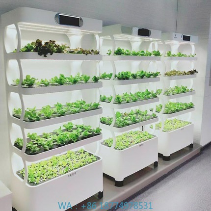Iydroponic Automated Grow Syst - Diy Home Automation System 评论和价格