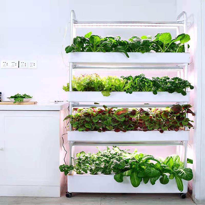 ydroponic Planting System Smar - Smart Home Automation Diy 评论和价格