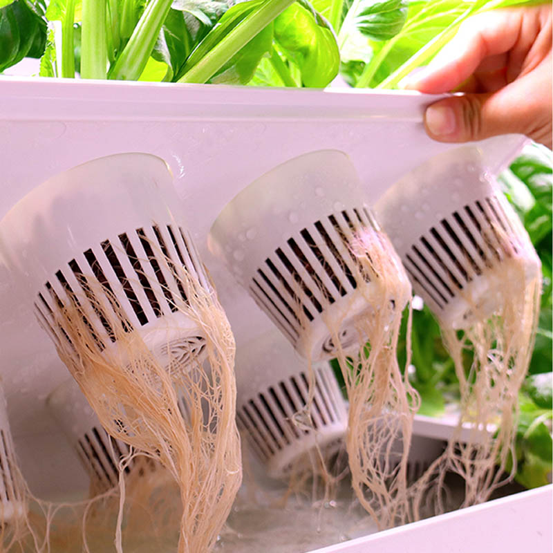 ydroponic Planting System Smar - Smart Home Automation Diy 评论和价格