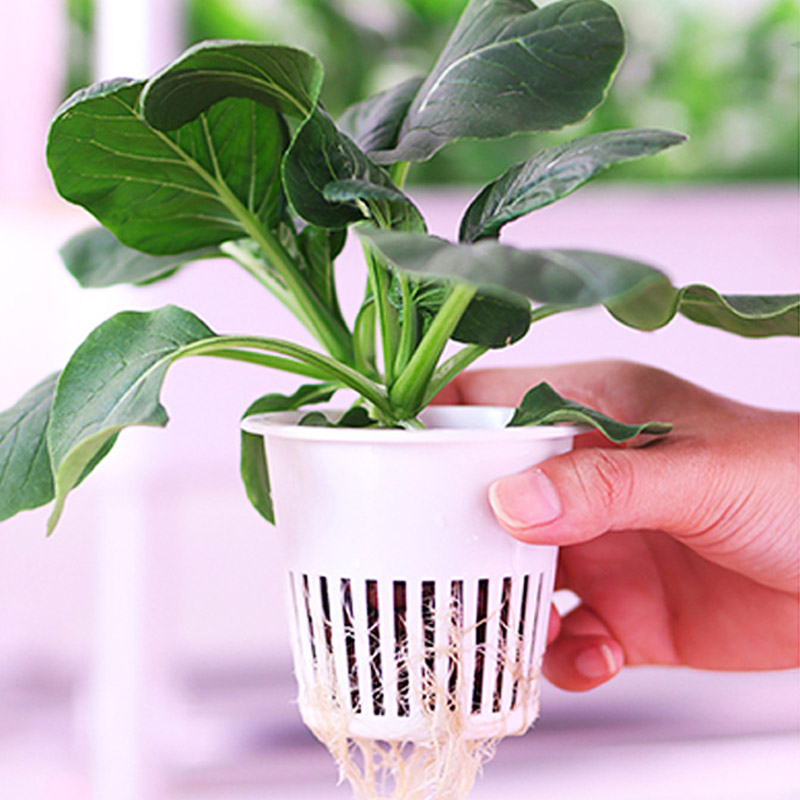 ydroponic Planting System Smar - Smart Home Automation Diy 评论和价格